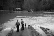 Flood1-copy