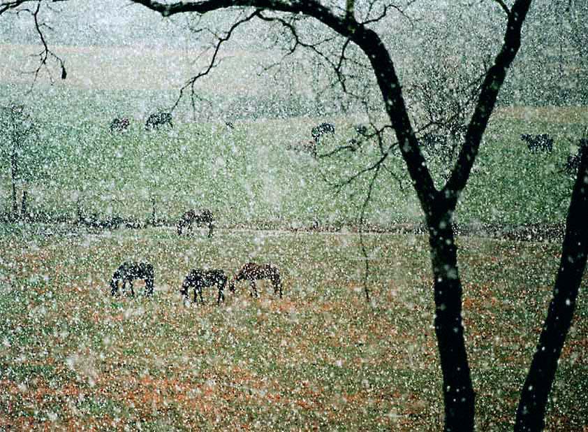 18FirstSnowontheFarm