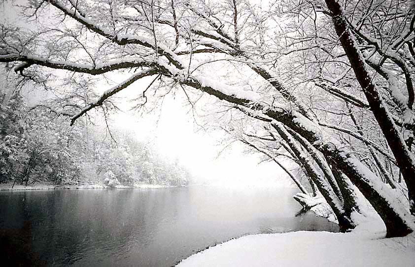 19CanoeLandingSnow