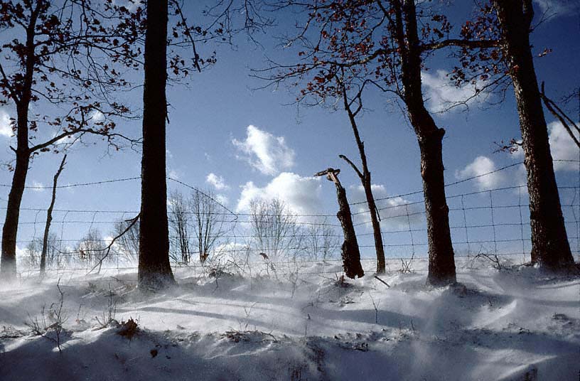 20CanterburyRoadSnow