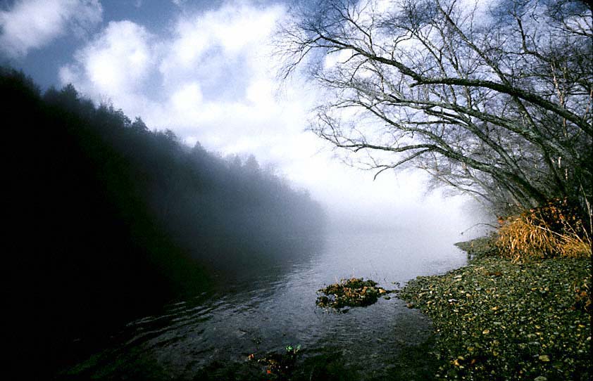 21CanoeLandingfog
