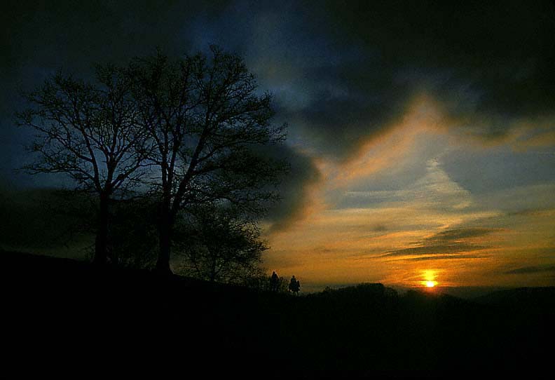 24SunsetMountainHorses